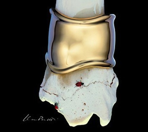 in a strange way the Elsa Peretti bone cuff looks more punk than those " luxury label" studded bracelets in a strange way the Elsa Peretti bone cuff looks more punk than those " luxury label" studded bracelets